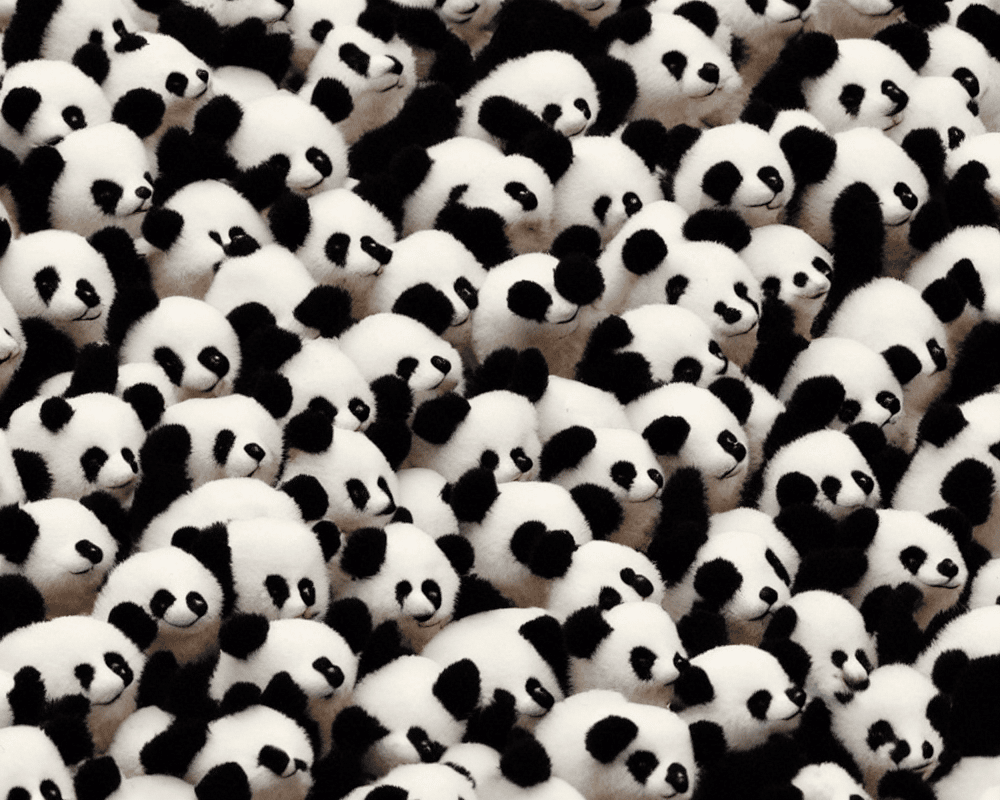 Professional Pandas: Indexing with Pandas Loc image